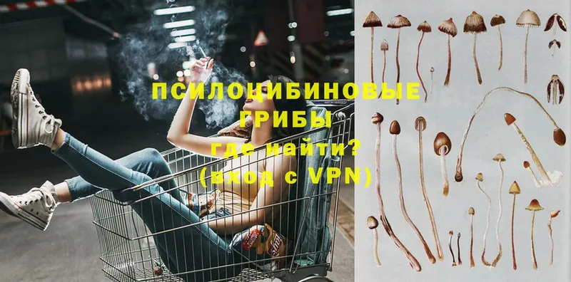 Галлюциногенные грибы Magic Shrooms  магазин    Нефтеюганск 